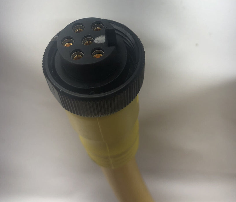 NUEVO CABLE ALLEN-BRADLEY 889N-F6AFNU-20F QD DE 6 PINES MINI RECTO DE 20 PIES QD