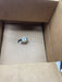 NEW ALLEN BRADLEY 808-K1 SER F Speed Switch 808-K1  N.C. NIB