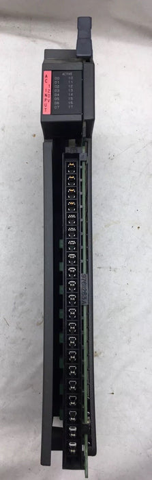 ALLEN BRADLEY 1771-IAD /C 120V AC/DC INPUT MODULE