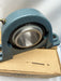 DODGE P2B-SC-203 123820 NEW IN BOX PILLOW BLOCK BEARING 2-3/16