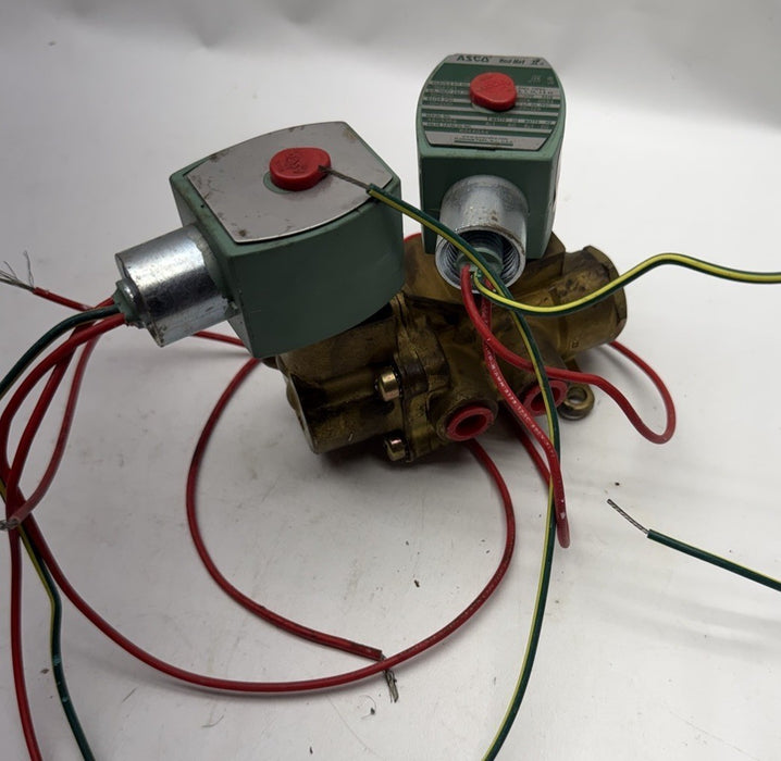 NEW ASCO EF8344G44 SOLENOID VALVE 110/120V  50/60 HZ