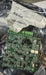 NEW EMERSON 24265-00 TOROIDAL CONDUCTIVITY SIGNAL BOARD 1056 24265