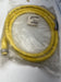 BRAD HARRISON WOODHEAD 207002A01F0601 7 PIN MALE STRAIGHT CORDSET 6FT LONG 16AWG