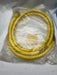BRAD HARRISON WOODHEAD 207002A01F0601 7 PIN MALE STRAIGHT CORDSET 6FT LONG 16AWG