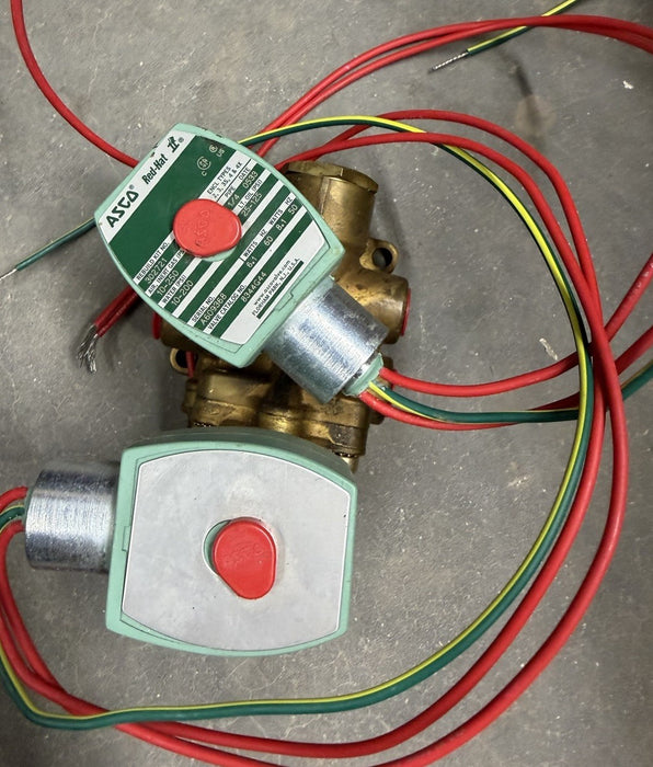 NEW ASCO EF8344G44 SOLENOID VALVE 110/120V  50/60 HZ