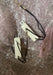ALLEN BRADLEY 1336-RLOAD-SP6A / 1336RLOADSP6A NIB 1336 VFD 74100-822-06