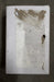 Hubbell GFR15I 15A 125Vac Commercial Ground Fault Receptacle Ivory