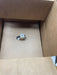 NEW ALLEN BRADLEY 808-K1 SER F Speed Switch 808-K1  N.C. NIB