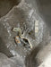 NEW BULLETIN 702 RENEWAL CONTACT Z-34041 NEMA SIZE 4 200 AMP FOR STARTER 1 POLE