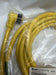 NEW Sealed BRAD CONNECTIVITY WOODHEAD 3P FEMALE CORDSET 1300060430 NOS
